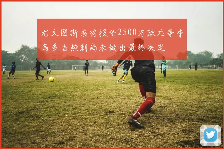 尤文图斯或将报价2500万欧元争夺乌多吉热刺尚未做出最终决定